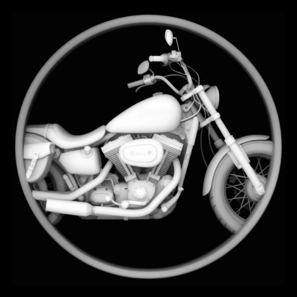 Harley-Side View