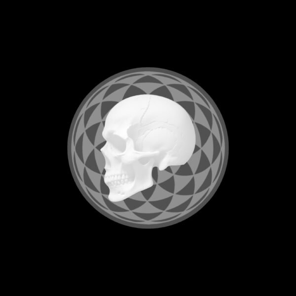 Skull-3d-Geometric pattern-Coin