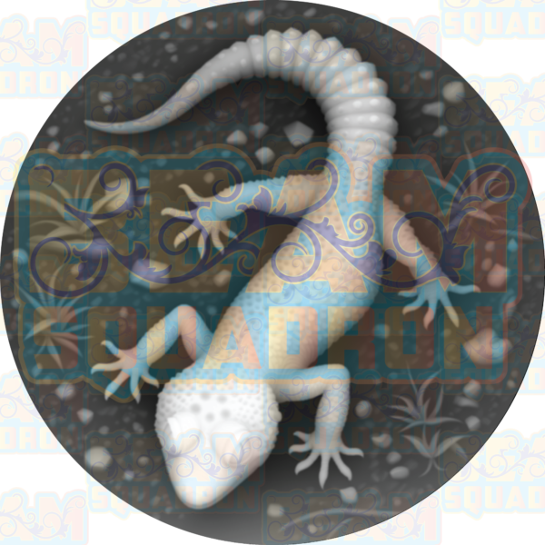 Gecko-3d-Coin